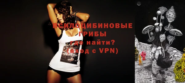 2c-b Горняк