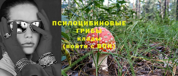спайс Надым