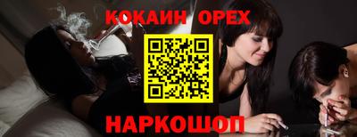 прущие грибы Будённовск