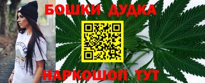 прущие грибы Будённовск