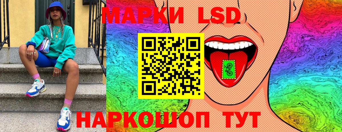 МЕФ Гуково