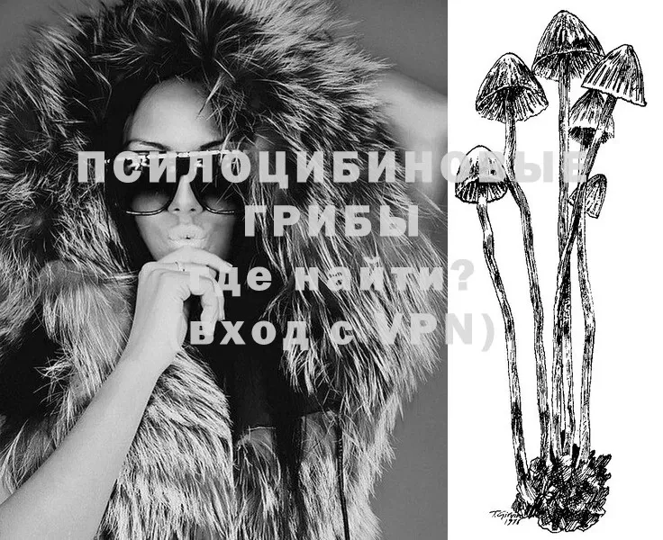 Псилоцибиновые грибы Psilocybe  мориарти какой сайт  Гуково 